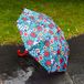 Rex London Paraplu coccinelle / ladybird paraplu enfant