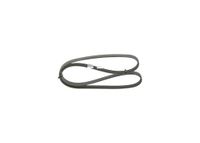 BOSCH Keilrippenriemen 1987946274