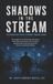 Shadows in the Stream: The Inadvertent Digital Detriment Paradox Theory