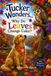Tucker Wonders... Why Do Leaves Change Color? EAN 9798193785576
