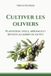Cultiver Verdantis Guides Pratiques Pour Le Jardin - Cultiver les oliviers