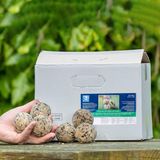 CJ Wildlife 50st Vetbollen met Meelwormen voor Vogels - Mezenbollen zonder Net - Vogelvoer Buitenvogels - Energierijk Tuinvogelvoer - Voordeelverpakking