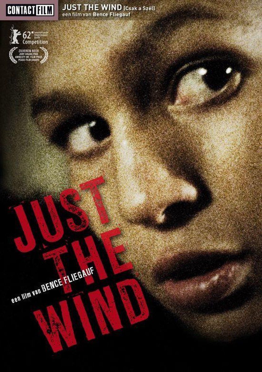 Just The Wind - Remain in Light - Movie/Documentary