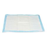 Well Home Wegwerponderleggers, 10 stuks, met super absorberende lijm, 60 x 60 cm, wit en blauw