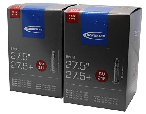 Schwalbe Unisex SV21F slang, zwart, 69,5 x 5,3-5,8 cm