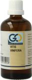 GO Gemmo Oplossingen GO Vitis vinifera bio 100 Milliliter