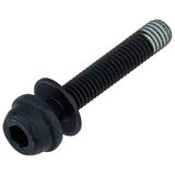 SHIMANO Y2hw08020 BR-R9270 Remklauwbevestigingsschroef, 25 mm, zwart, eenheidsmaat