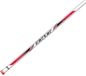 Colmic Carpe Pêche de fond Canne Argent 3,00 m / 300 g