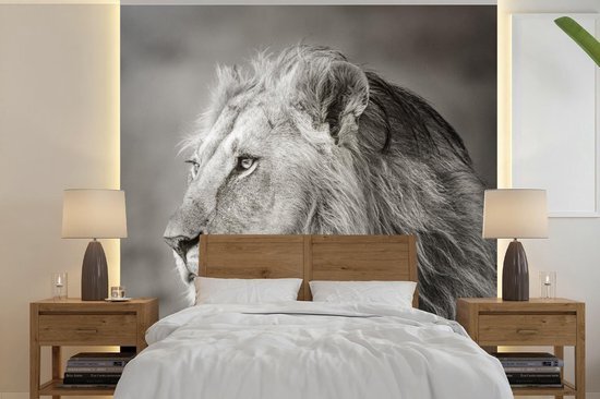 Nr1Wallpaper Behang - Fotobehang Leeuw - Wilde dieren - Zwart - Breedte 260 cm x hoogte 260 cm