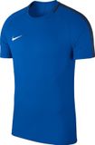 Nike Dry Academy 18 Sportshirt Heren - Blauw