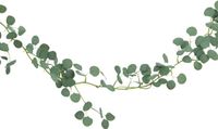 Chaks Eucalyptus Slinger Groen 173 cm Kunstplant
