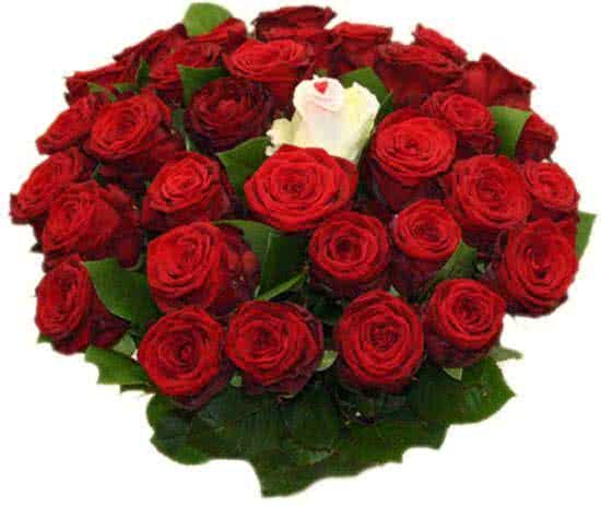 Regioboeket.nl 25 rode rozen boeket + 1 witte sugar roos in midden Boeket 25 red Naomi rode rozen met 1 witte roos met rood hartje