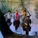 Bertus Distributie Groundhogs Scratching the Surface LP Coloured Vinyl Gold