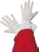 Merkloos Goochelaar korte witte handschoenen - Goochelaar verkleed accessoire voor volwassenen