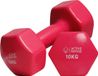 Active Panther Dumbbell set 2 X 10 KG - 20 kg totaal - Vinyl - Roze