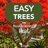Easy Trees for South Georgia Heat: Beautiful Trees that Thrive in the South