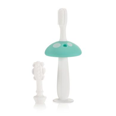 Reer Tandenpoets Trainer Baby Care - 4013283792537