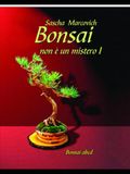Bonsai non é un mistero I: Tecniche semplici e consigli pratici per creare e curare bonsai anche da zero