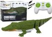 LEAN TOYS krokodil télécommandée qui nage dans l'eau avec la télécommande - Multicolore