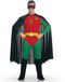 Rubie's DC Comics Robin Klassiek Herenkostuum