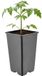 GARRONDA Pot de fleurs carré haut en plastique avec trous de drainage pour jardin (Noir, 11 x 11 x 19 cm (1,7L))