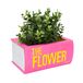 Fisura Originele bloempot in boekvorm, als cadeau, originele decoratie, decoratieve bloempot, bloempot van hars, 10,5 x 14,5 x 22 cm (boekroze)