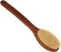 Shenzhen Haorui Industrial Technology Co., Ltd. Brosse de bain à long manche et forme incurvée, teinté
