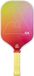 JOOLA Pickleball Paddle Astral
