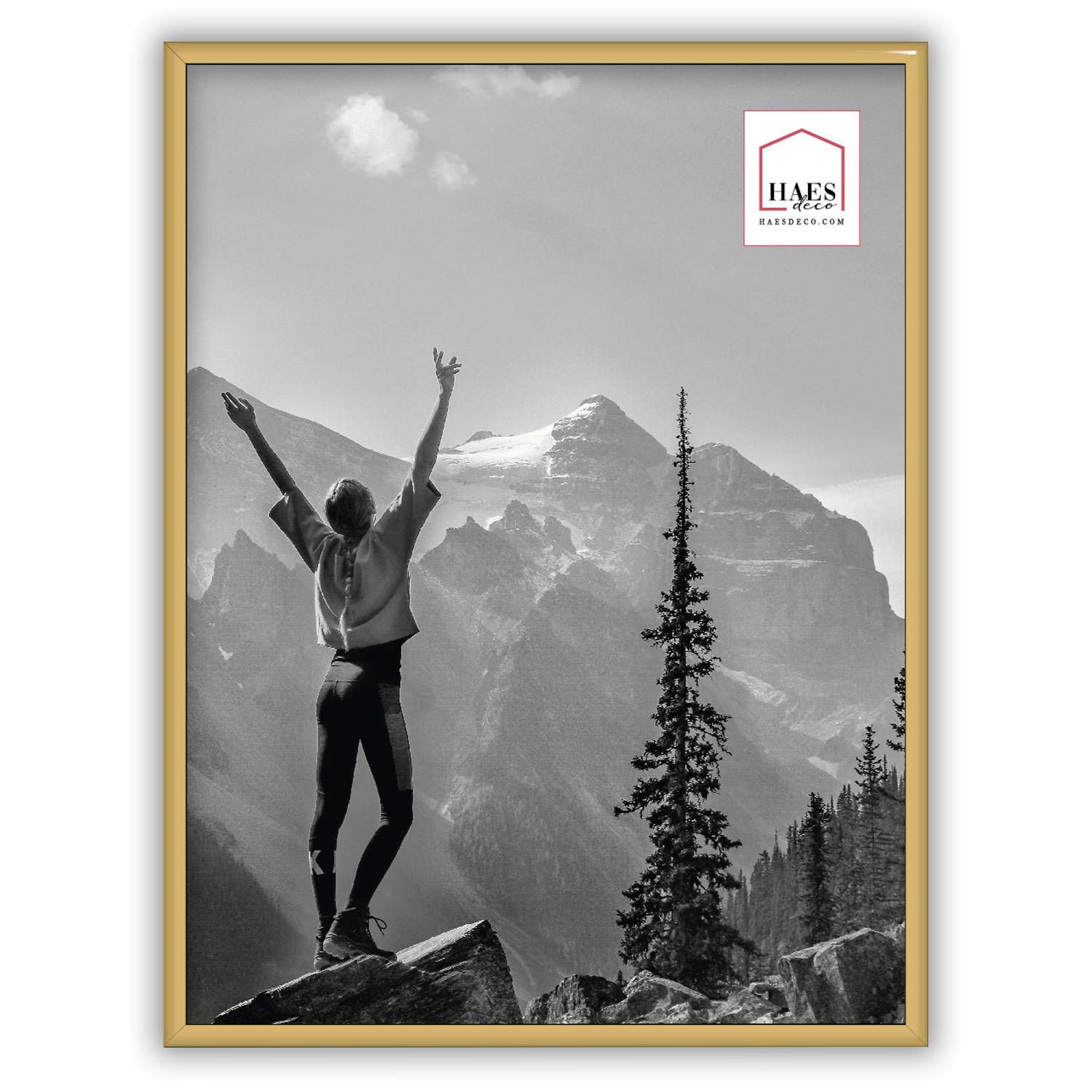 HAES deco Kunststof fotolijst 30x40 goud Easy Frame - EF5G