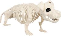 Boland Decoratie Skelet hond - Horror