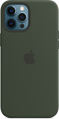 Apple MHLC3ZM/A groen / iPhone 12 Pro Max