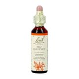 Bachflowers Bach Flower Remedie 25 Red Chestnut 20ml