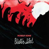 Bertus Distributie Bol Blister Steel