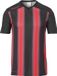 Uhlsport Stripe 2.0 Shirt Korte Mouw Kinderen - Zwart / Rood | Maat: 140