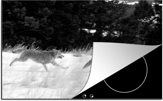 KitchenYeah® Inductie beschermer 77x51 cm - Twee rennende wolven - zwart wit - Inductie kookplaat accessoire