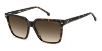 Carrera CARRERA 3069/S HAVANA/BROWN SHADED 57/16/140 Damenbrillen Zonnebrillen