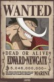 ABYSTYLE Your Decoration B.V. Poster One Piece - Wanted Whitebeard 61x91,5cm