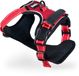 Lionto Harnais Anti-traction Chien Rouge XL