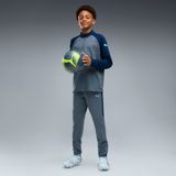 PUMA Pantalon d'entraînement de football IndividualLIGA Enfant et Adolescent, Vêtements, Bleu, 13-14Y