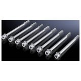 Rittal SV 9676.817 170 mm M10 Schroef 8 stuk(s)