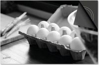 Dietrix Inductie Beschermer 65x52 - Food - Eieren in doos zwart wit