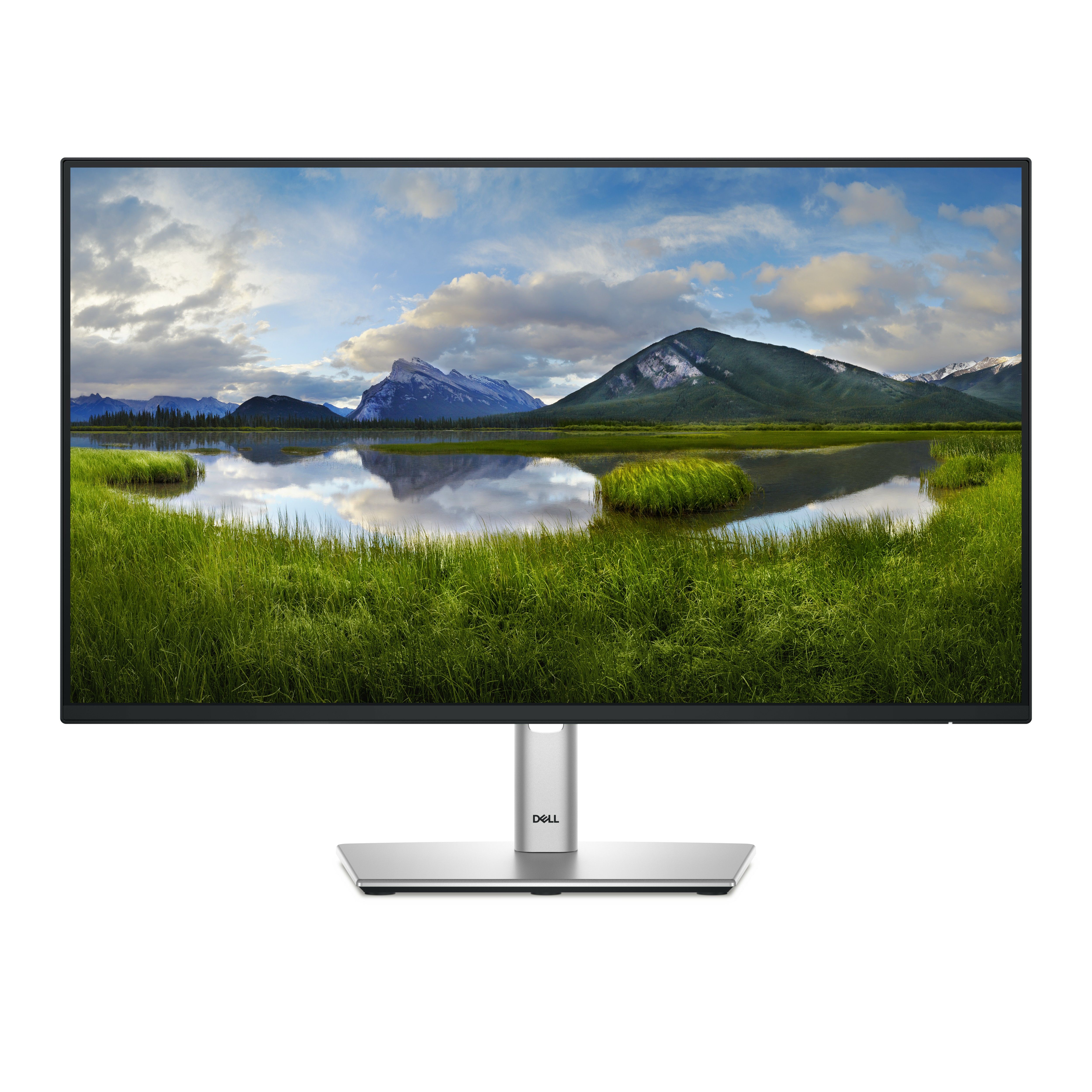 Dell P2425H 24" Full HD IPS Monitor - 100Hz, USB-C, HDMI, DisplayPort, Ergonomic
