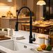 Spring Spring Robinet de cuisine à douchette avec deux modes de pulvérisation, jet aéré et pulvérisation puissante, pivotant à 360°