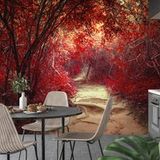 Chemin Papier Peint Panoramique - Feuilles Rouges - 390 cm x 257 cm