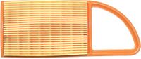 Dolpima Filtre à air pour Stihl BR500, 550, 600 (numéro d'article : 4282 141 0300)