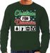 Bellatio Decorations Shoppartners Bv Foute Kersttrui / sweater - Christmas for dummies - groen voor heren - kerstkleding / kerst outfit M