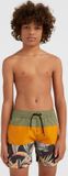 ONEILL Cali block 13 inch swim shorts