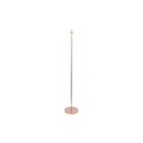 Levitantes Verlichting, Afbeelding