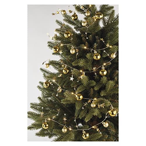 Emos Gouden lichtslinger met 20 LEDs - 190 cm - Batterij - Timer