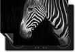 Chefcare Inductie Beschermer Zebra Kop - Zwart Wit - 89,6x51,6 cm